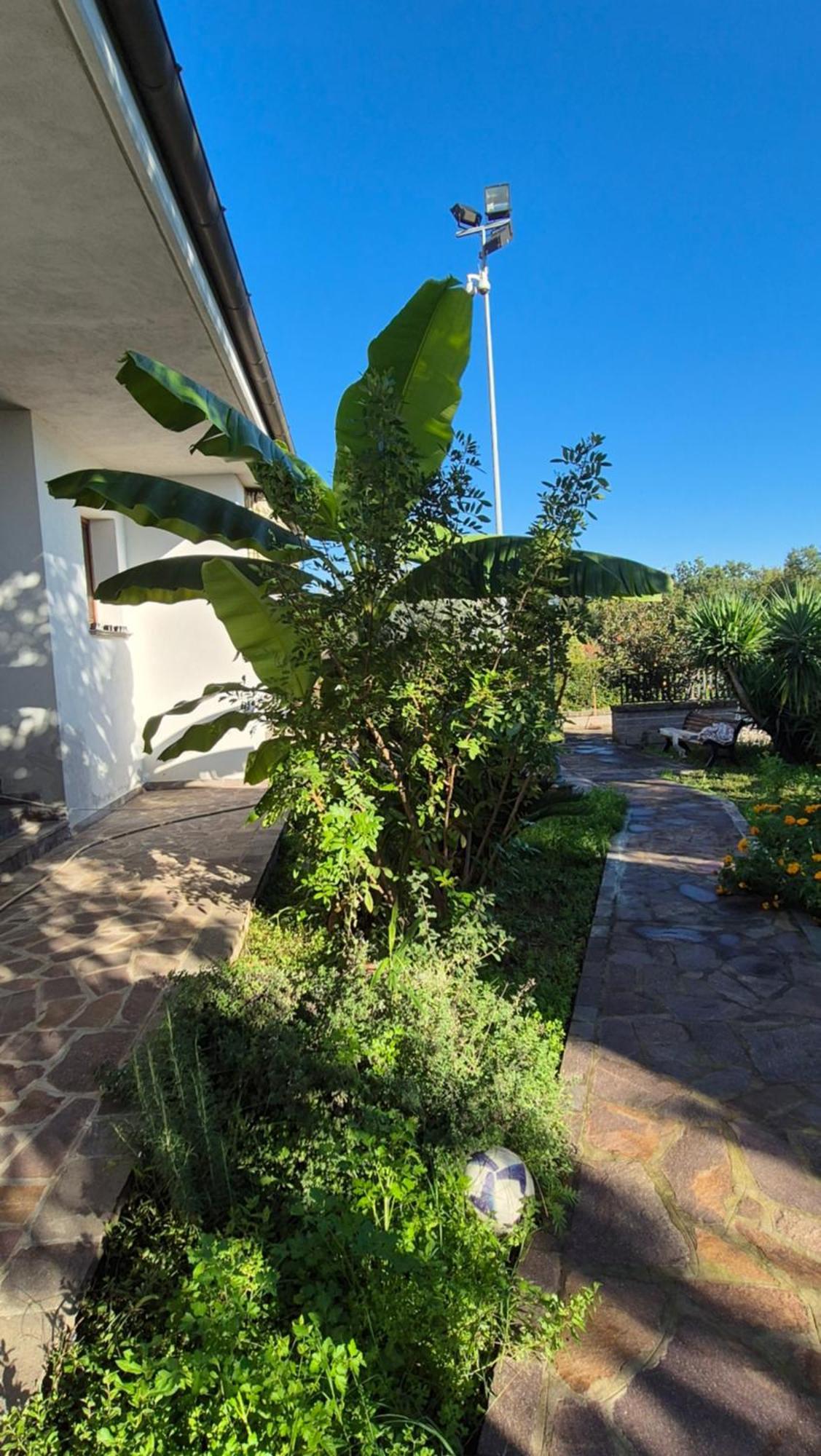 Charming 2-bed With Garden Holiday home